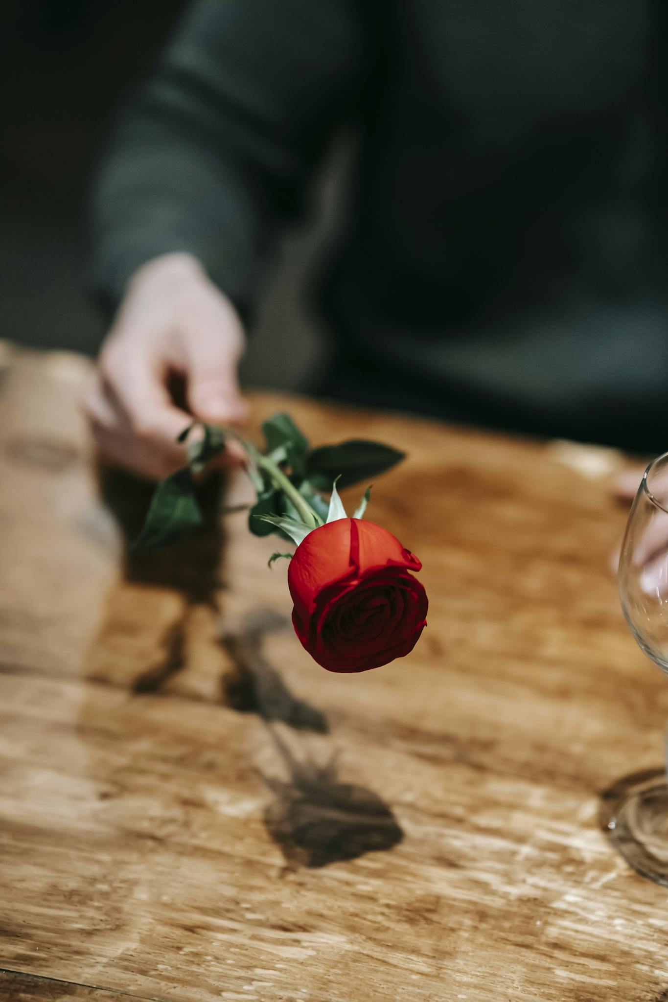 Crop anonymous male in casual clothes with fresh red rose sitting at wooden table in cafe